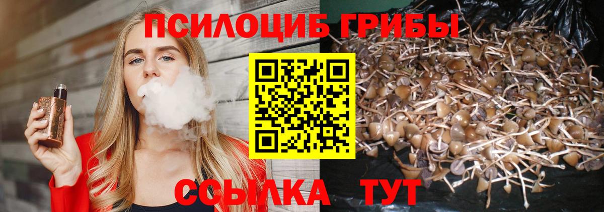 Егорьевск  Псилоцибиновые грибы ЛСД  Вход с VPN  Псилоцибиновые грибы Psilocybe 
